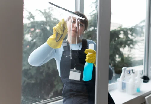 Nettoyage de vitres intérieures et extérieures à Verneiges